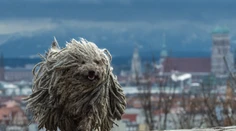Druhý najvyšší stupeň výstrahy. Teploty až mínus 21 stupňov Celzia