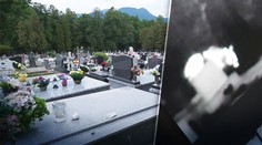 VIDEO: Dráma v Ružomberku. Na medvede, ktoré po nociach ničili cintorín, si počkal zásahový tím