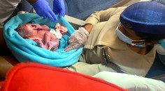 Na palube lietadla našli v odpadkovom koši novorodenca