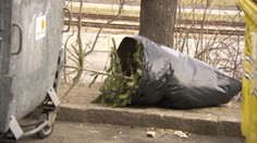 Vianočné stromčeky nepatria do kontajnera. Poradíme vám, ako sa ich zbaviť