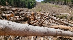 Lavíny spustošili lesy a poškodili chodníky. Najväčšie škody sú v Račkovej a Jamnickej doline