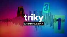 Televízne noviny spúšťajú kriminalistický seriál. V prvom diele vám ukážeme analýzu DNA