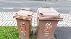 V blízkosti hnedých smetiakov na kuchynský odpad sa v lete objavuje hmyz a potkany