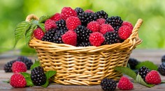 Kráľovné dezertov: Dve sestry, ktoré sú prospešné zdraviu