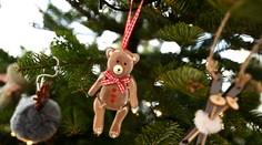 Máte doma živý vianočný stromček? Poradíme vám, ako sa oň starať, aby vydržal čo najdlhšie