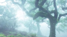 Zmena počasia! Prichádza naozaj nepriaznivá a chladná jeseň