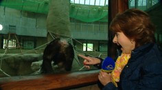 Najlepšie brbty redaktorov a moderátorov TV Markíza