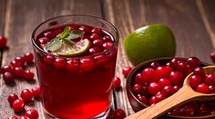 Brusnice močový mechúr nezachránia, tvrdia vedci