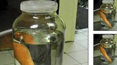 Inzerát, ktorý vás zaručene pobaví. Muž predával na "bazosi" snehuliaka
