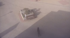 Prievidzou sa špacírovali diviaky, jeden vpálil do sklenenej výplne