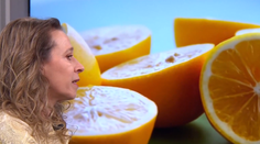 Citrusy sú plné dôležitých vitamínov, no pozor však na isté riziká