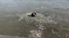 Žena, ktorú z Dunaja vytiahli odvážni policajti, na druhý deň zomrela v nemocnici