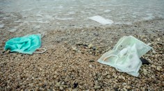 Masívny environmentálny problém: V prírode je vyhodených viac rúšok ako pet fliaš