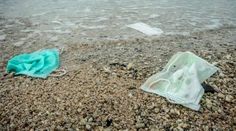 Masívny environmentálny problém: V prírode je vyhodených viac rúšok ako pet fliaš