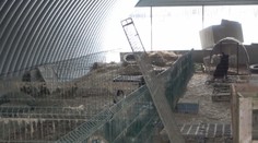 Policajná razia u veterinára z Partizánskeho: Psy z klietok záhadne zmizli, našli sa len spálené kosti