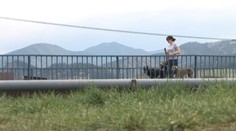 Na Liptove úraduje trávič psov. Vraždí otravou na hlodavce