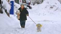 Severné a stredné Japonsko zavalili masy snehu