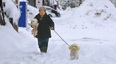 Severné a stredné Japonsko zavalili masy snehu