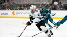 Utah poslal Kelemena do záložného tímu. Druhý Slovák v organizácii musí prejsť  waiver listinou