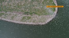 Na Slovensku máme utajený ostrov. Pre väčšinu ľudí je nedostupný, no náš štáb sa tam dostal