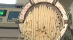 Pastieri už vyhnali ovce na pašu. Pravú bryndzu tak môžeme mať oveľa skôr ako zvyčajne