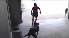 Chlapec každý deň chodil potajomky ku susedom. Dôvod dojal tisícky ľudí