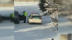 Novinárku Tódovú opäť niekto sledoval. Indície ukazujú na Smer, ten to odmieta