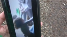 Šírenie krutých videí z Miloslavova polícia zatiaľ nestíha, zákon o kyberšikane sa nedá použiť