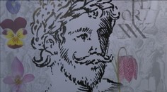 Objavili prvú autentickú podobizeň Shakespeara