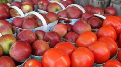 Bukovský: Jablko a paradajka sú super kombinácia vitamínov pre odvykajúcich fajčiarov