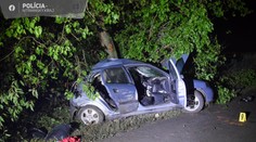 Štyria mladí ľudia vleteli pri Šali do stromu. Ten najmladší nehodu neprežil