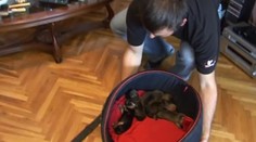 Také psíky sa vraj na Slovensku ešte nenarodili