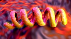 Zverejnili nové čísla o kvapavke a syfilise. Vedú muži