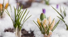 Týždeň začal mrazivým ránom. Výrazná zmena počasia príde v stredu