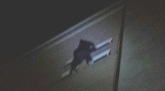 Žena po bitke visela na parapetnej doske: Policajti ju zbadali v poslednej chvíli