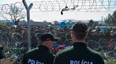 Colníci zadržali pri Čunove 17 nelegálnych migrantov