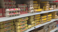 Kritika hydinárov zabrala. Fico pripustil, že zrejme znížia DPH na vajcia