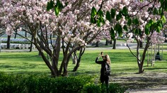 Po búrlivom víkende opäť príjemná zmena. Vráti sa jarné počasie aj vysoké teploty