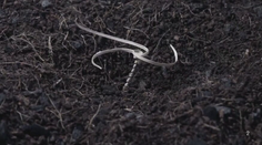 Pomocná ruka vyčerpanej pôde. Vedci vynašli spôsob, ako sa semienko zahrabe samé