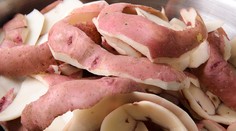 V Medzibrode súťažili o najdlhšiu šupku. Neuveríte, koľko merala víťazná