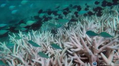 Nádhera, ktorá fascinuje ľudstvo, môže byť čoskoro minulosťou