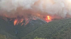Austrálska vláda odmieta súvis medzi požiarmi a klimatickou zmenou