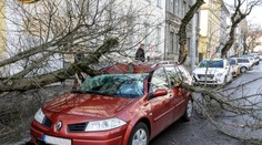 Zlé počasie vyčíňalo aj v Bratislave: Spadnuté múry, poškodené autá a polámané stromy
