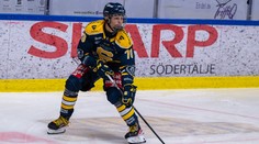 Narodil sa v Nemecku, zreje vo Švédsku, hrá za Slovensko. Zo syna slávneho otca sa stáva hviezda