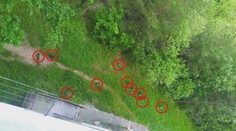 V Považskej Bystrici zahájili odstrel diviakov, ktoré ohrozujú ľudí na sídlisku