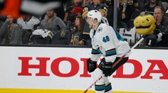 Posledný deň prestupov priniesol v NHL viacero zaujímavých presunov. Dres zmenila česká hviezda aj ikona Washingtonu
