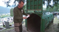 Medvede z cintorína v Ružomberku chcú odstreliť. Nastražili im pasce, no medvede ich obišli