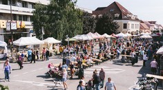 Pre pandémiu zrušili tradičné vinohradnícke oberačkové slávnosti v Pezinku