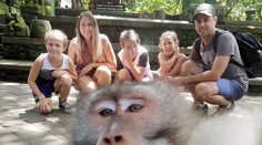 Drzá opica je hitom internetu: Rodina až po návrate z dovolenky zistila, čo im vyviedla