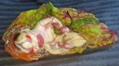 Rodičia sa zľakli svojho chorého dieťatka. Podľa nich je prekliate